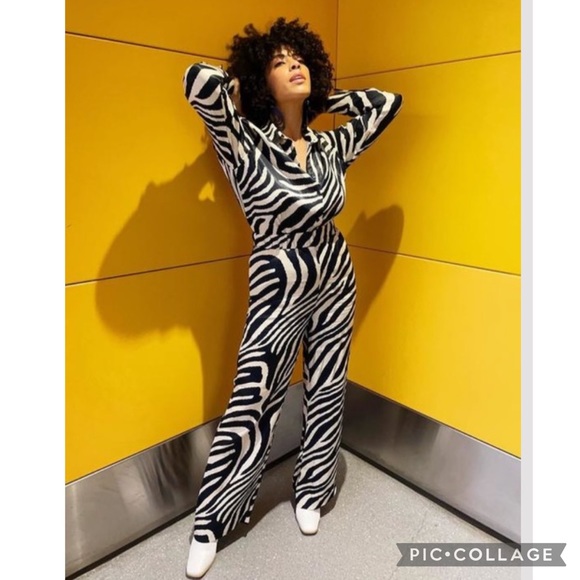 NWT H&M Blogger Fave Zebra Print Satin Shirt/Pants - Picture 4 of 12